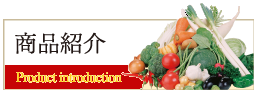 商品紹介